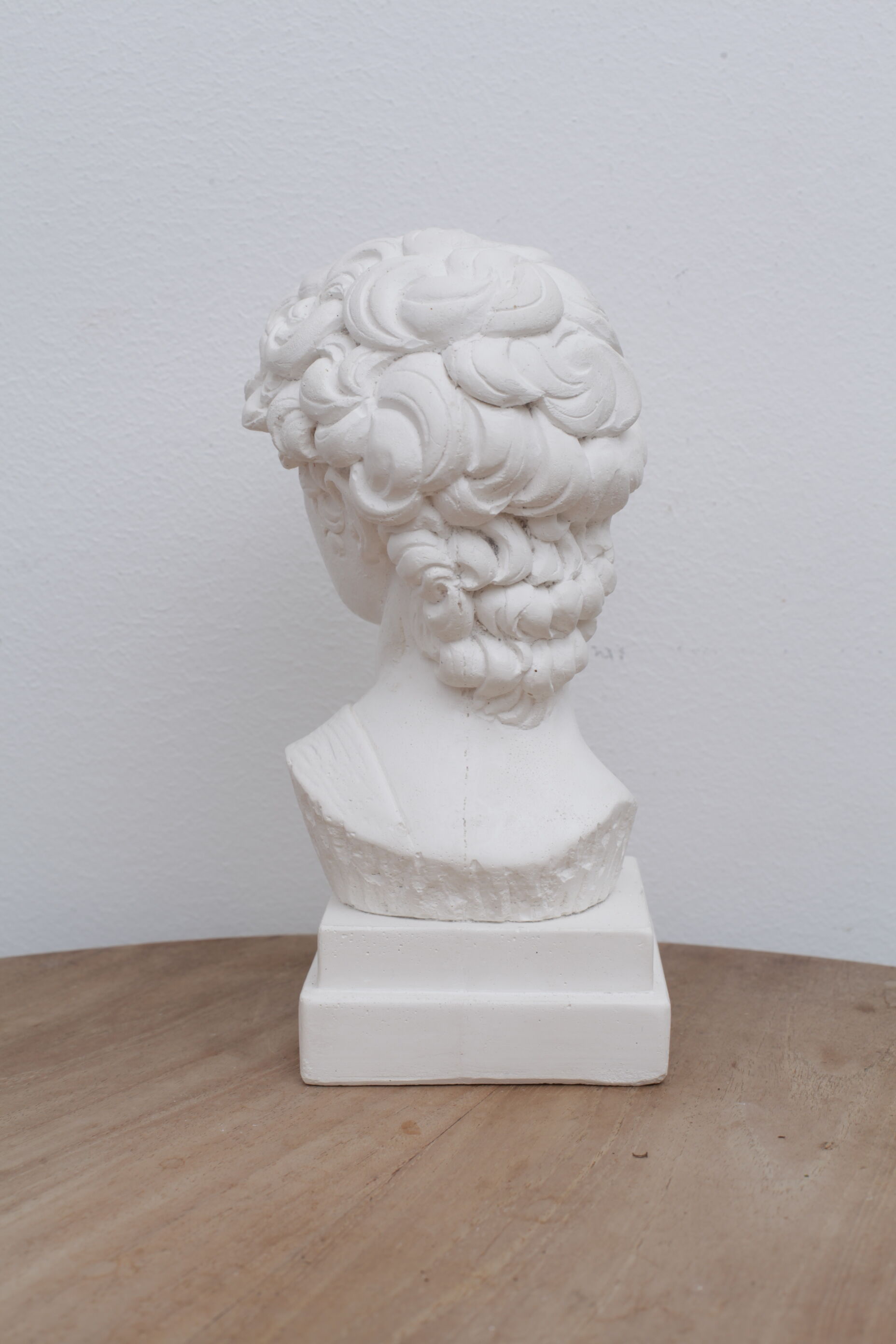 David head in waxed white plaster