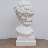 David head in waxed white plaster