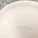 Ashtray/Tray Aldo Bitossi in Ceramic Italy