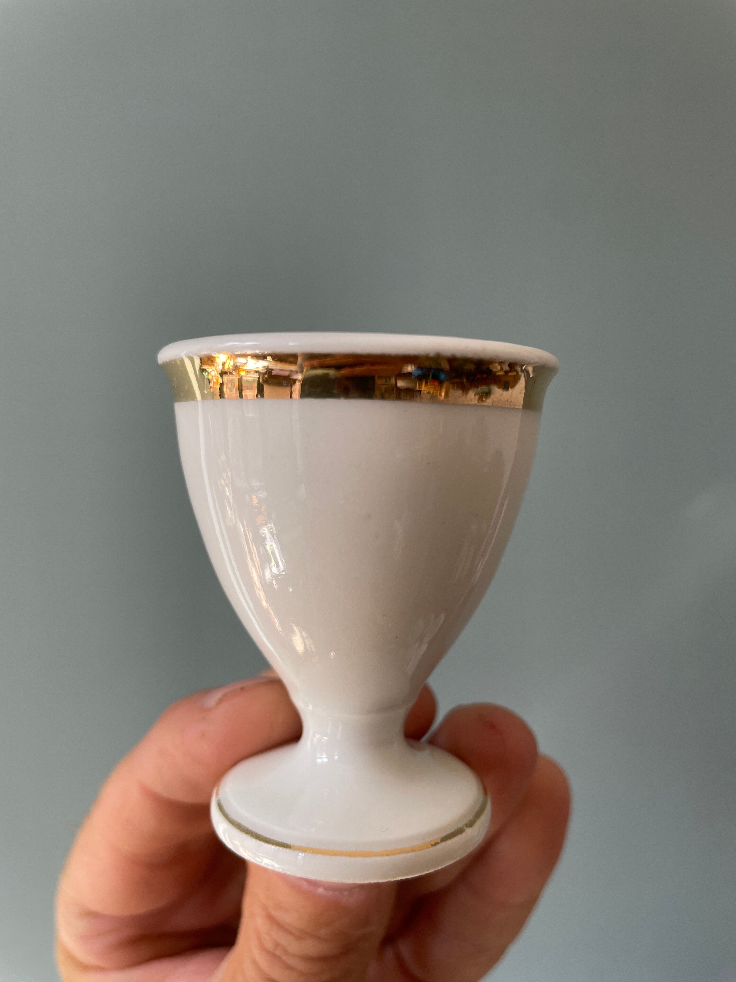 Set of 13 old standing cockroaches