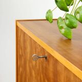 Mid-Century Modern Scandinavian Wooden Bar Cabinet, 1950s