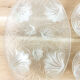 Set under crystal plate VERLYS France, 1930