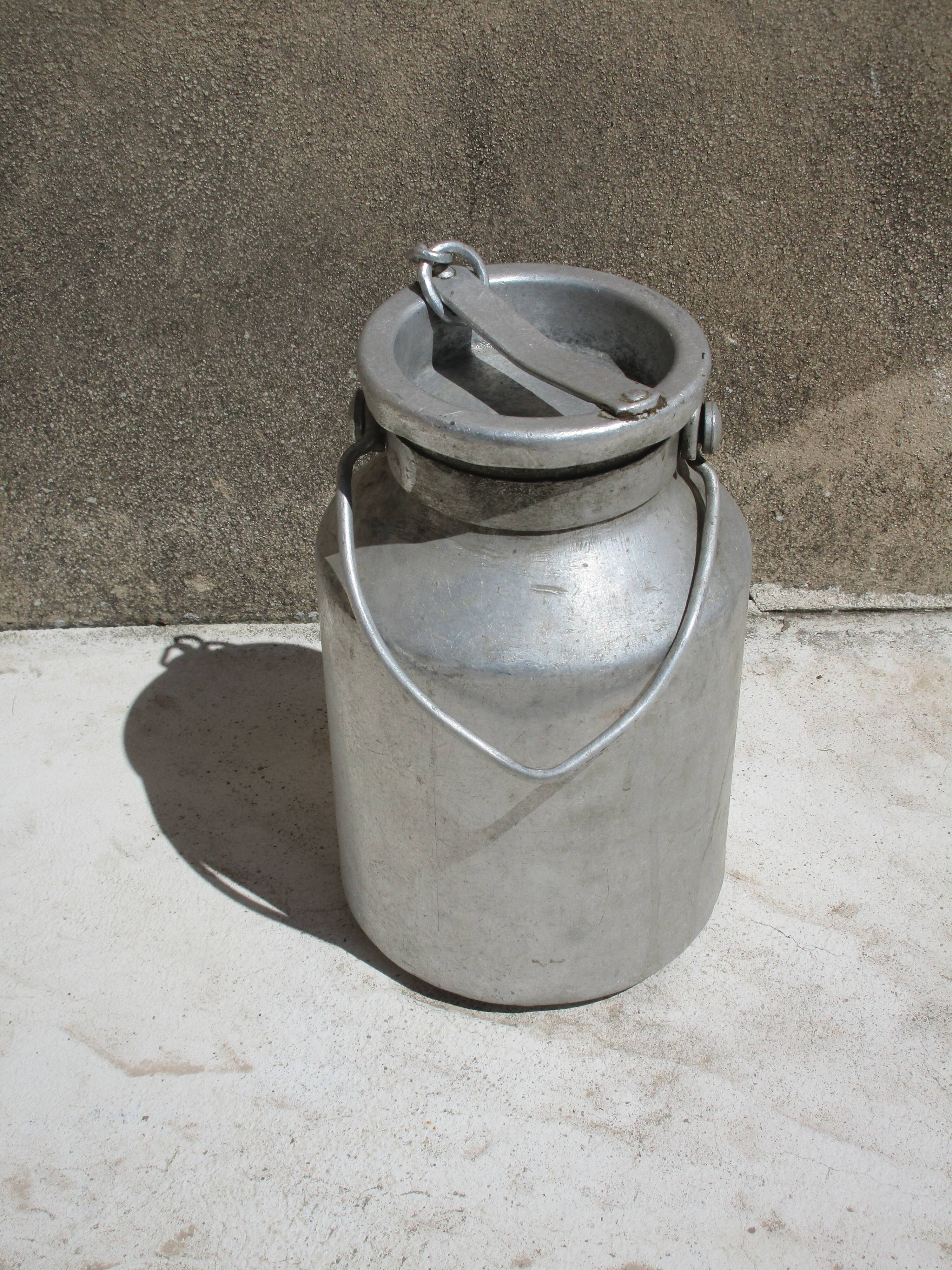 Pot a milk model while alu