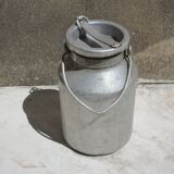 Pot a milk model while alu