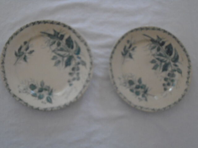 2 Plates faience old Bondonviller decoration MURE wild fruit iron earth diameter 22 cm