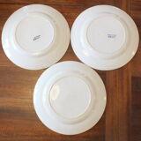 3 Flat plates in Iron Earth HB Choisy bird décor