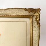 Framed fleur-de-lis botanical plate