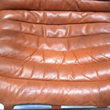 Fauteuil ARI  en cuir cognac par Arne Norell