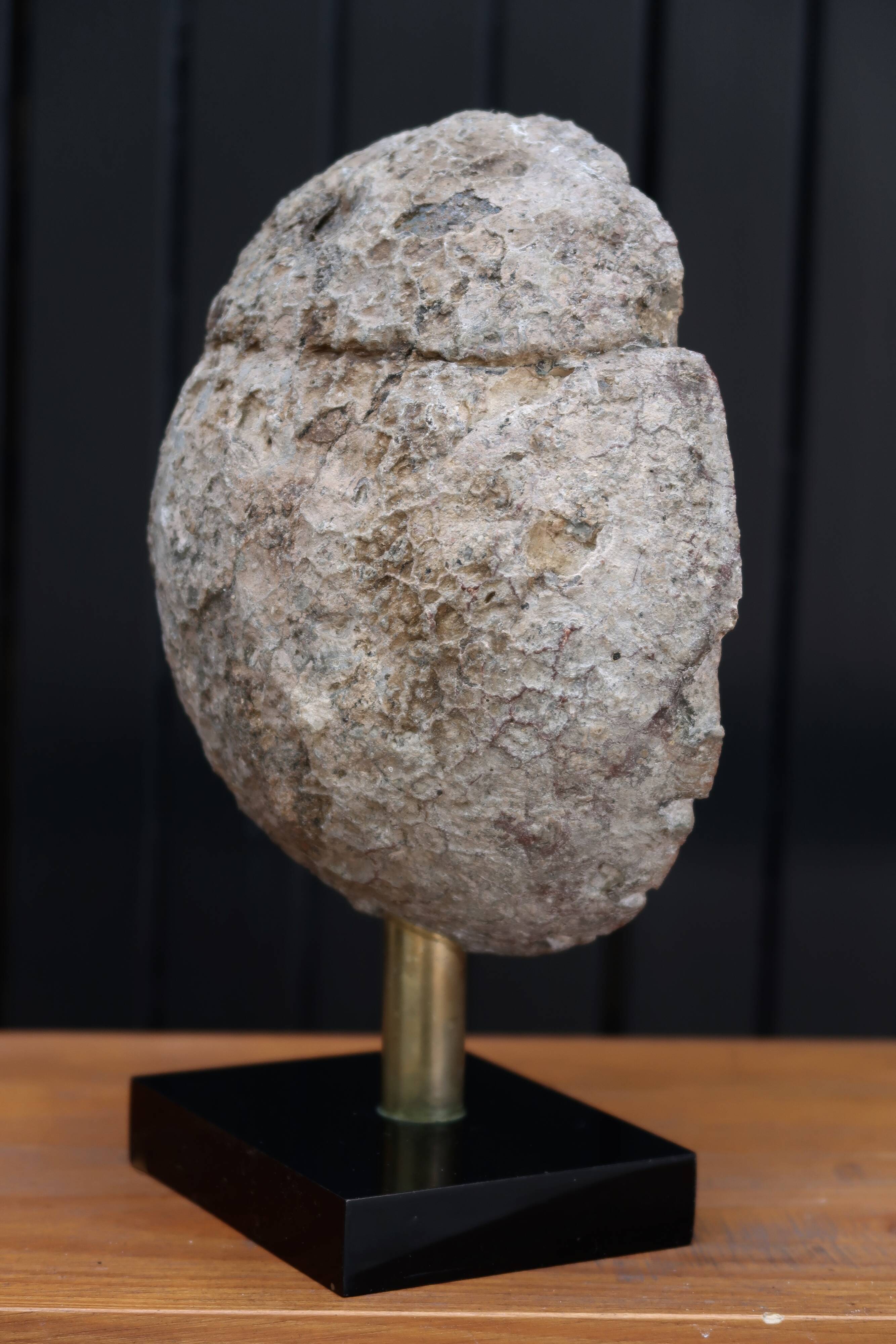 Half geode on base, cabinet of curiosities