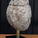 Half geode on base, cabinet of curiosities