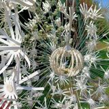 Dandelion pendant light