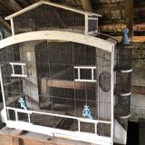 Birdcage