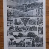 Original lithograph on the orchard