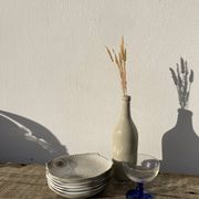 6 flat plates fish in beige ceramic Salins les bains