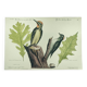 Old bird engraving - Woodpecker - Zoological plate by Seligmann & Catesby
