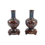 Pair of cloisonné bronze vases, china, xixth century