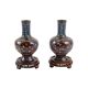 Pair of cloisonné bronze vases, china, xixth century