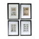 4 original zoological plates "Rat, Marten, Guinea Pig, Shrew,..."