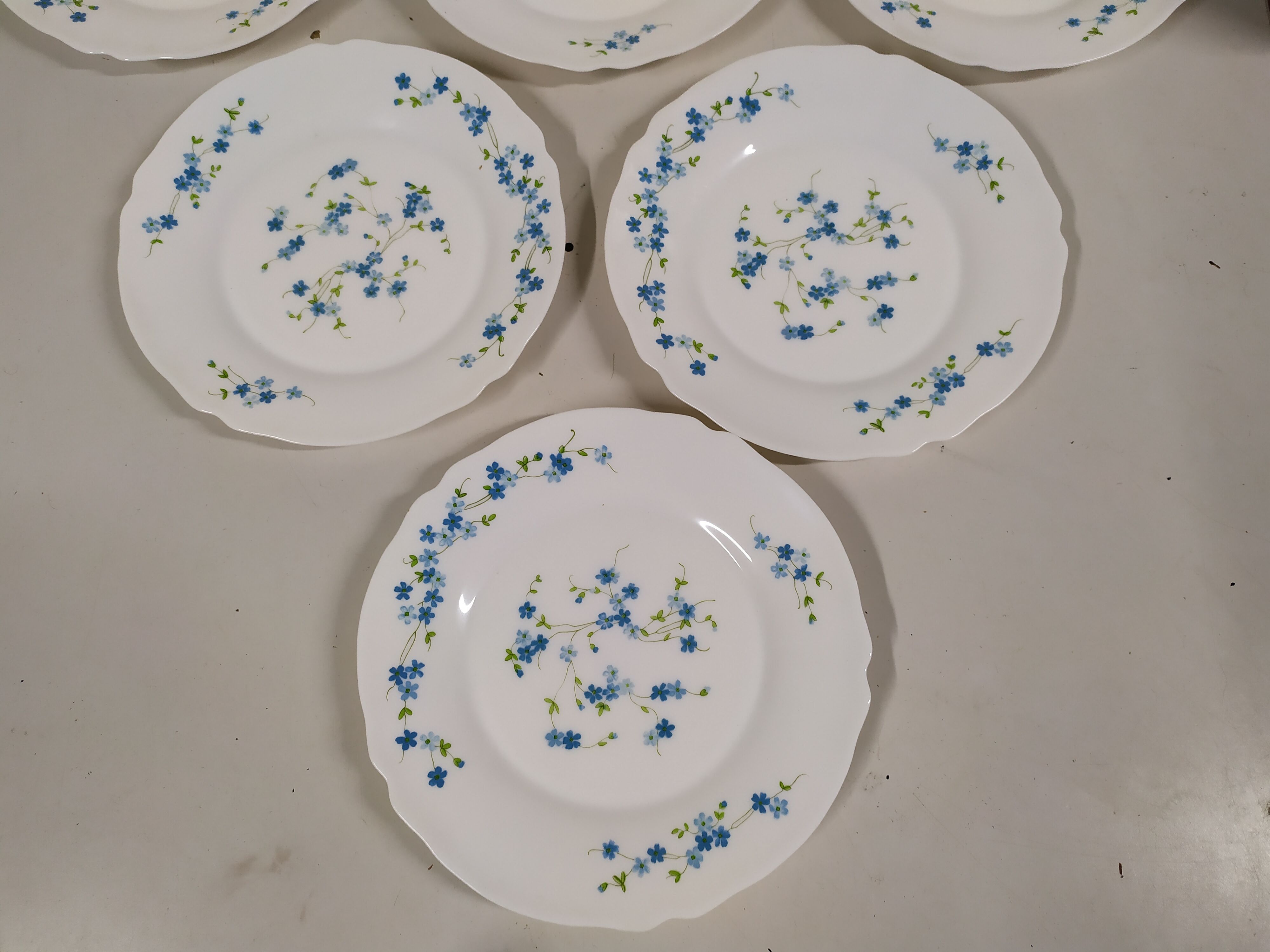 Lot de 6 assiettes plate Arcopal Véronica Myosotis fleur bleu vintage