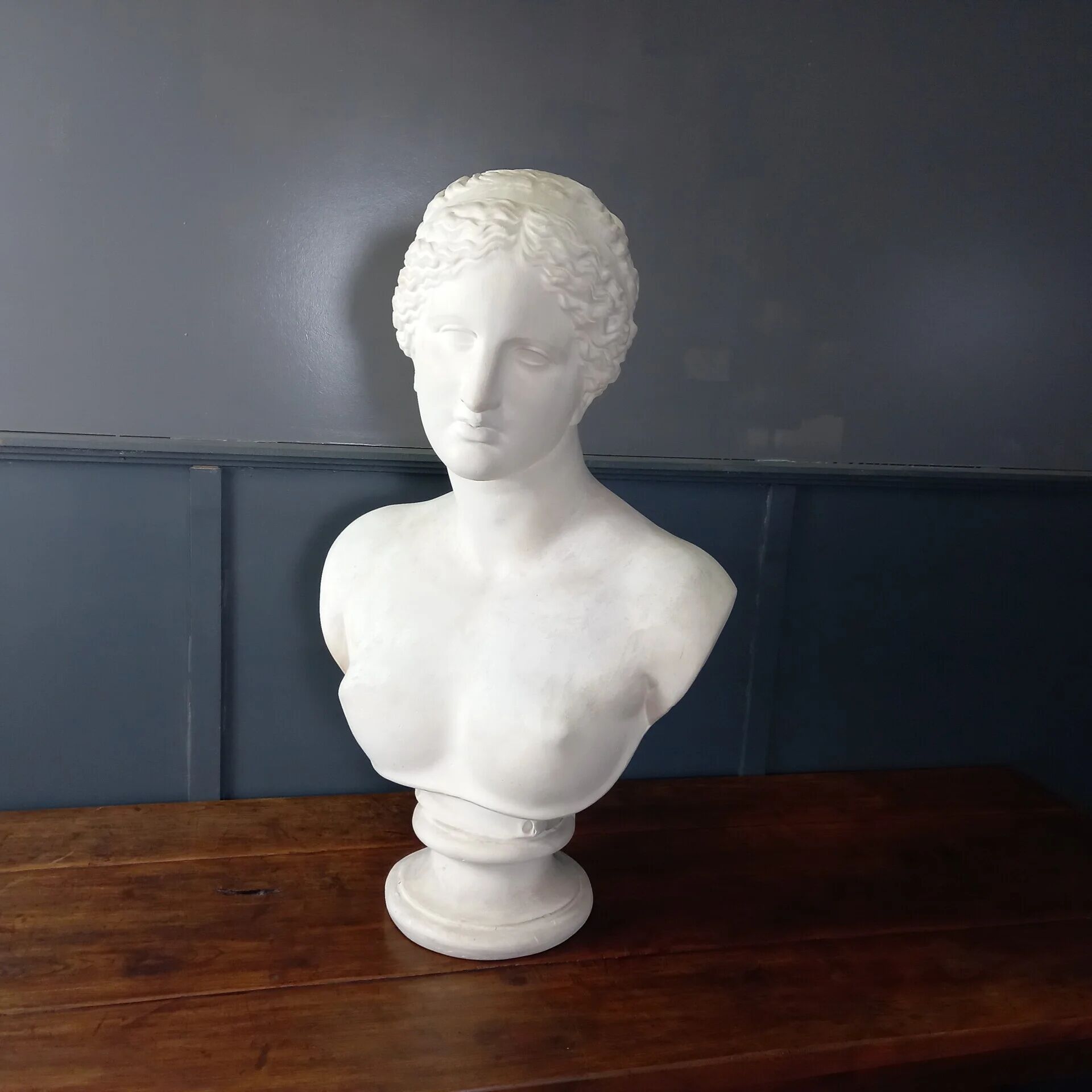 Grand buste de Vénus de Milo