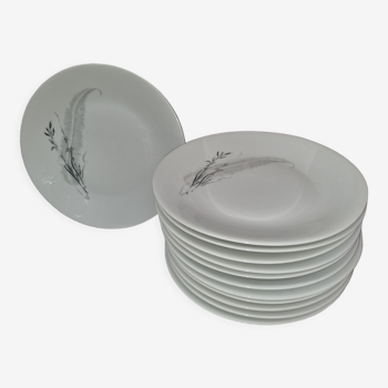 Fine porcelain plates from sologne, lamotte