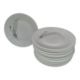 Fine porcelain plates from sologne, lamotte