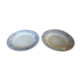 Lot d'une assiette plate et une creuse anciennes XlXème "creil et montereau labrador"