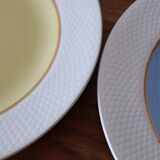 7 plates L'Amandinese model "excellence"