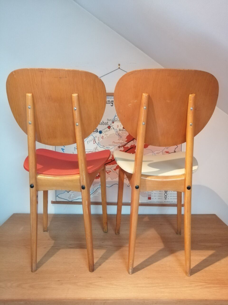 Vintage chairs from the 1950s "Stella"