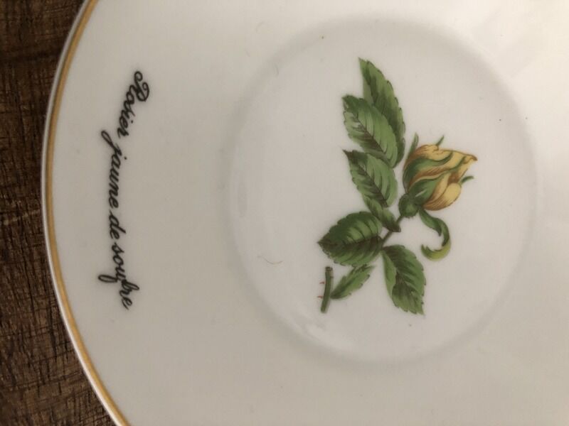 Old coffee cup and saucer