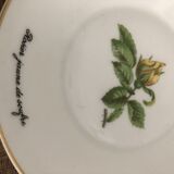 Old coffee cup and saucer