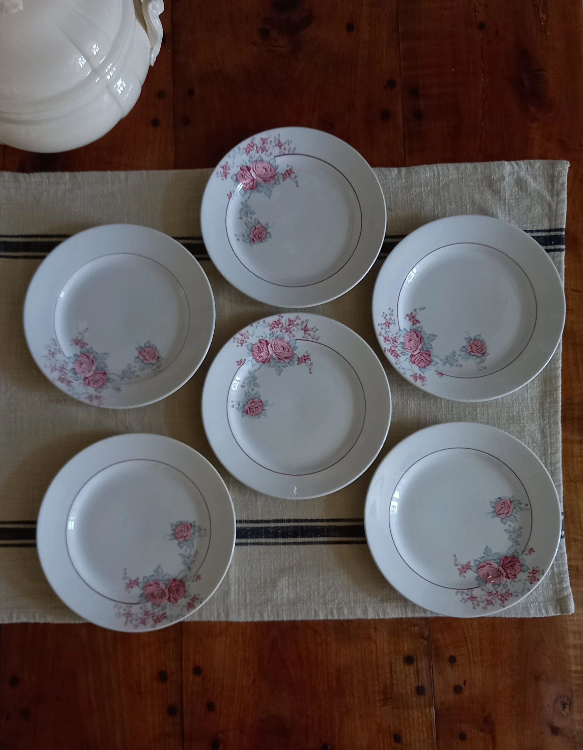 "Thalie" - 6 flat plates ironstone Saint-Amand