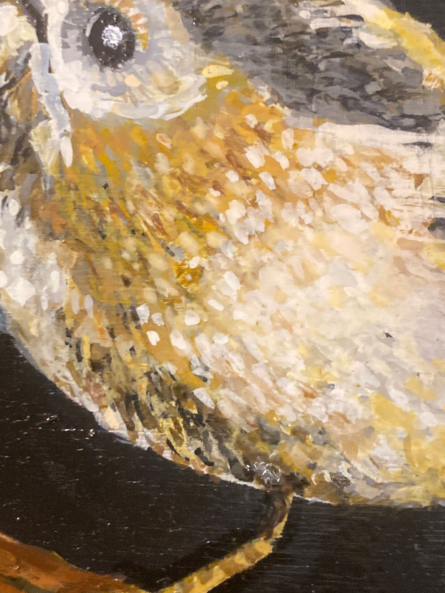 Bird painting - oil