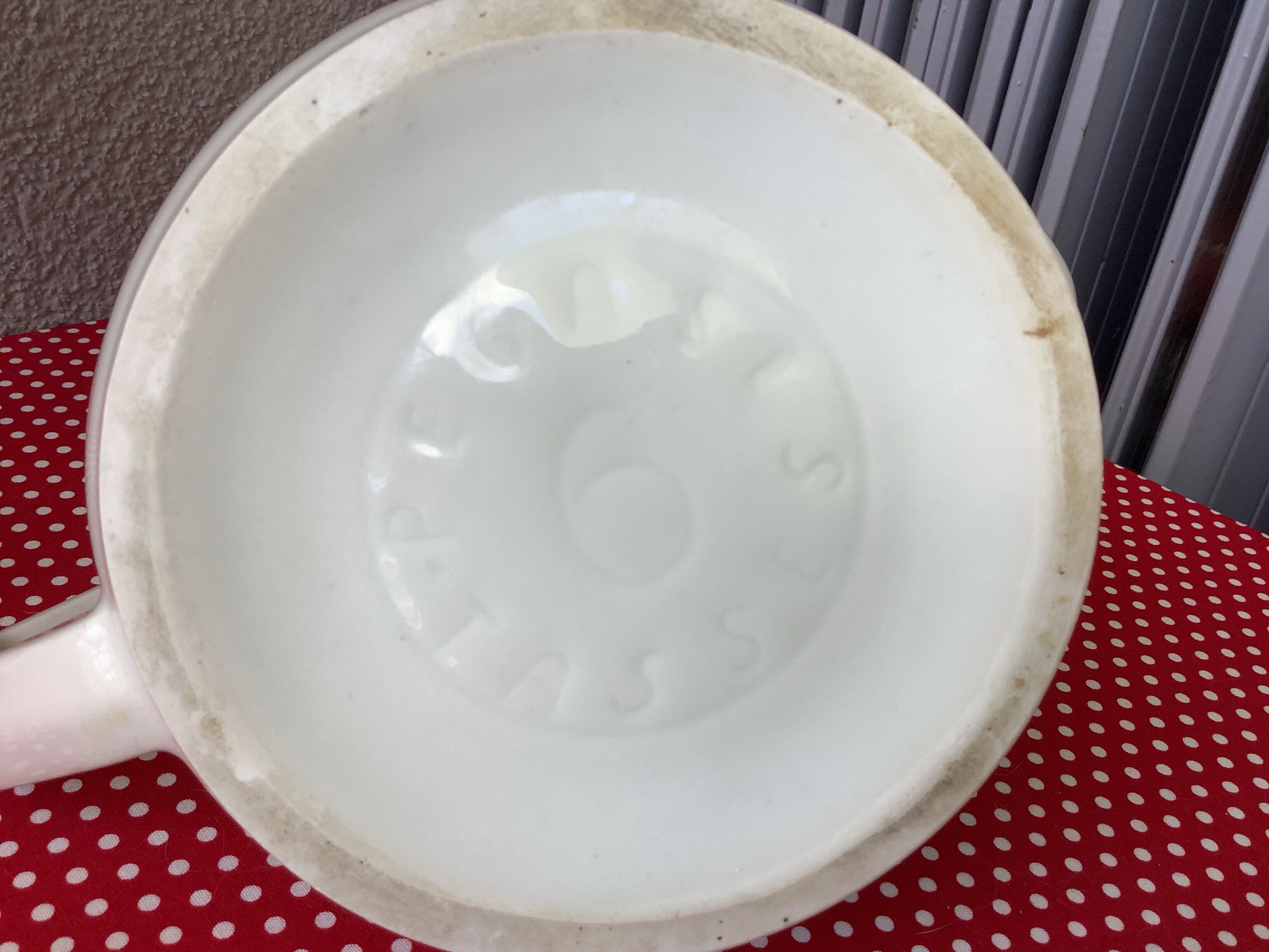 Coffee maker Pegasus