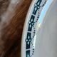 4 antique dishes in ironstone from Badonviller