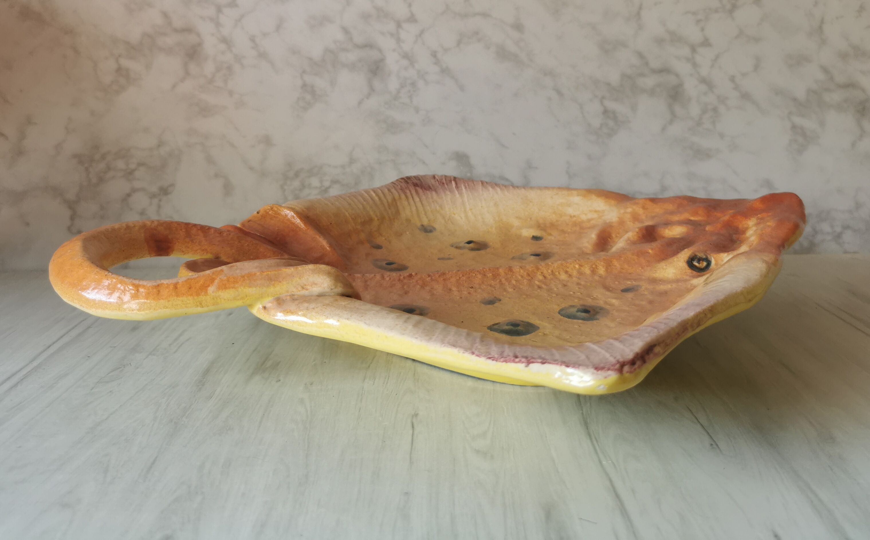 Zoomorphic dish ray