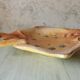 Zoomorphic dish ray