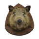 Wild boar head taxidermy wild boar bust stuffed animal 55cm