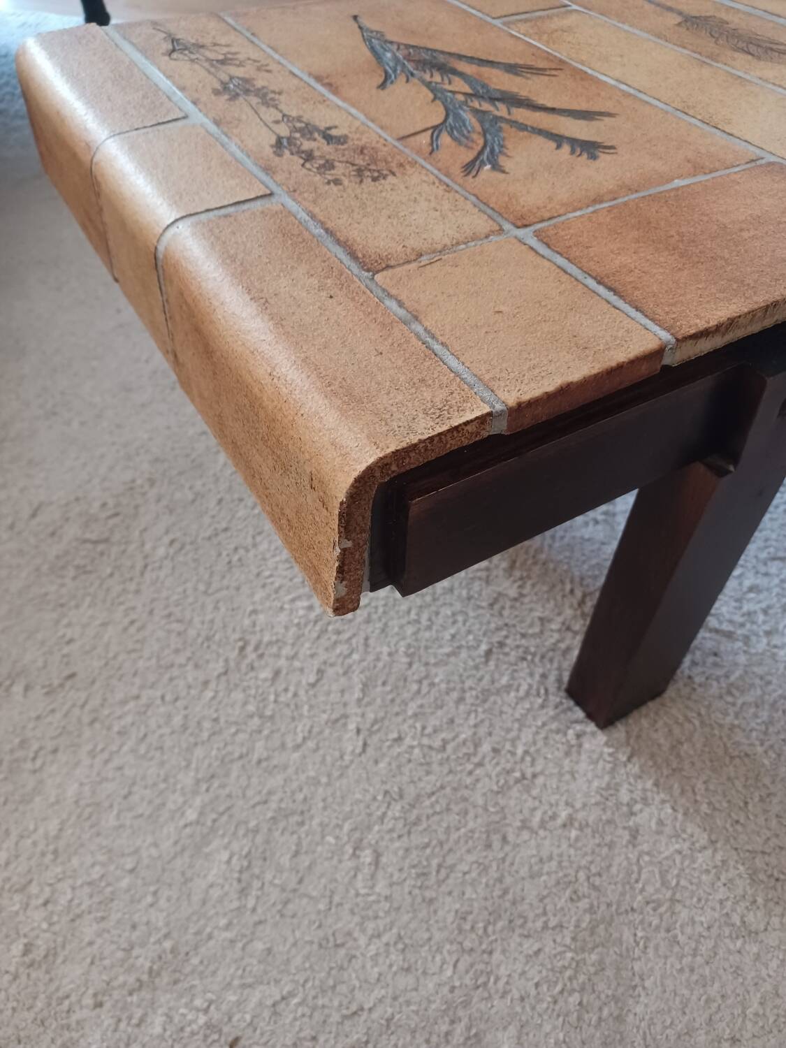 Vallauris herbarium coffee table by Roger Capron