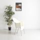 Lot de 4 chaises, Lord Yo par Philippe Starck pour Aleph, 1994