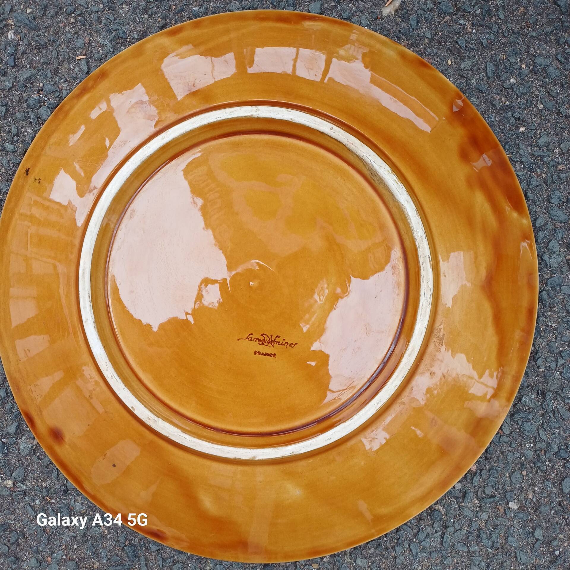Rare large Majolica plate Nénuphar – Sarreguemines Vintage