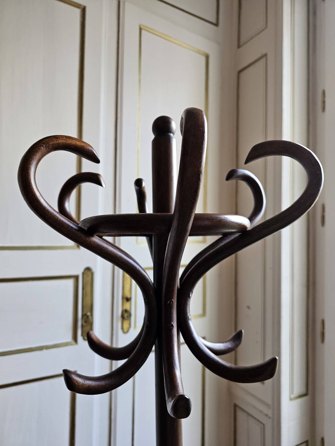 Porte-manteau bois courbé