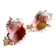 Set Murex Rameux shells