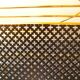 Perforated metal magazine rack, 1950
