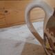 Jug / Creamer high HB Quimper - Hearts & Flowers