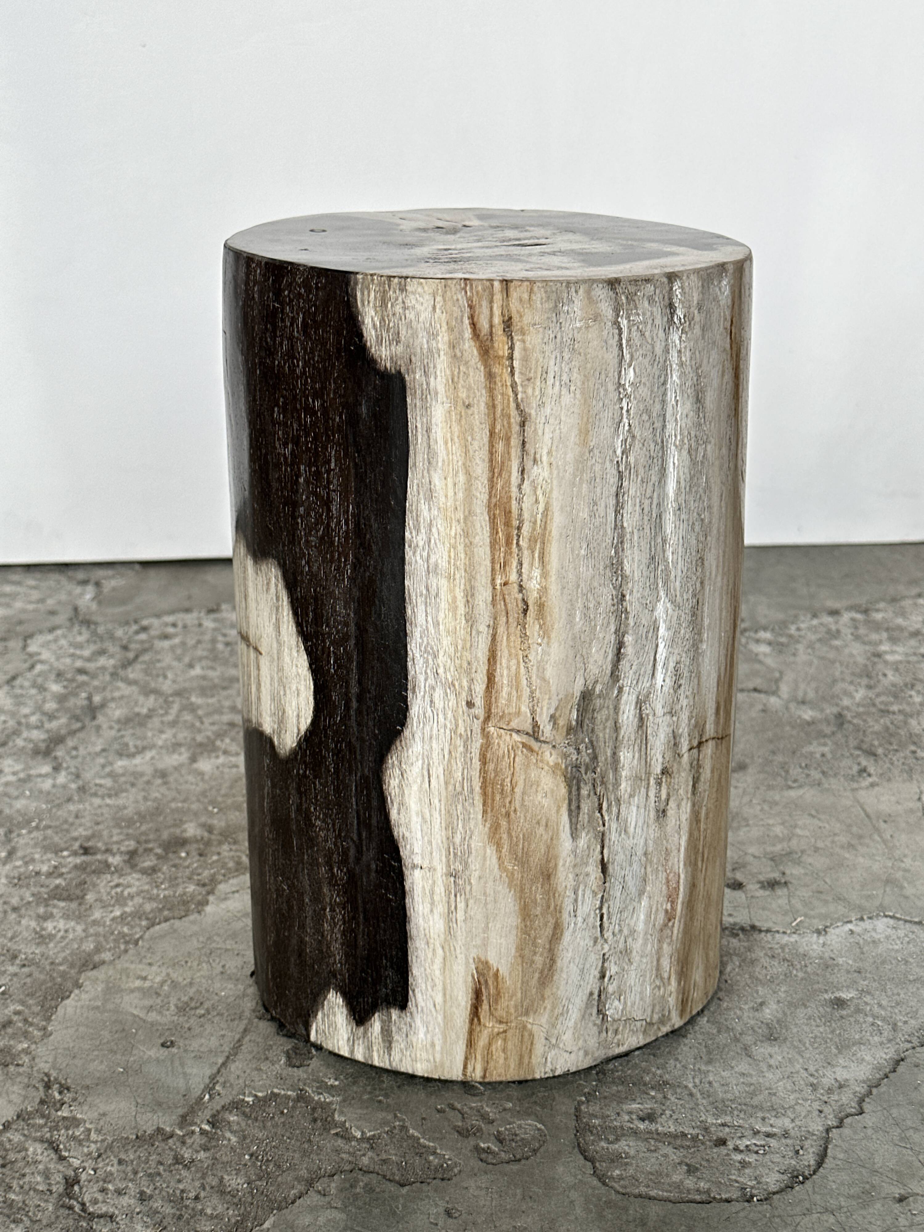 Small black, white and gray petrified wood side table H28cm D:18.5