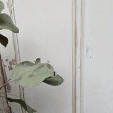 XXL Parisian wardrobe