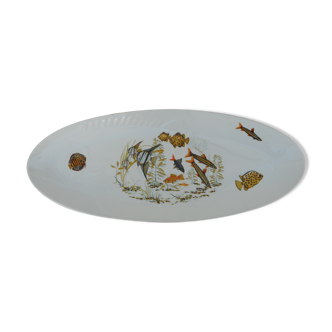 Porcelain fish dish