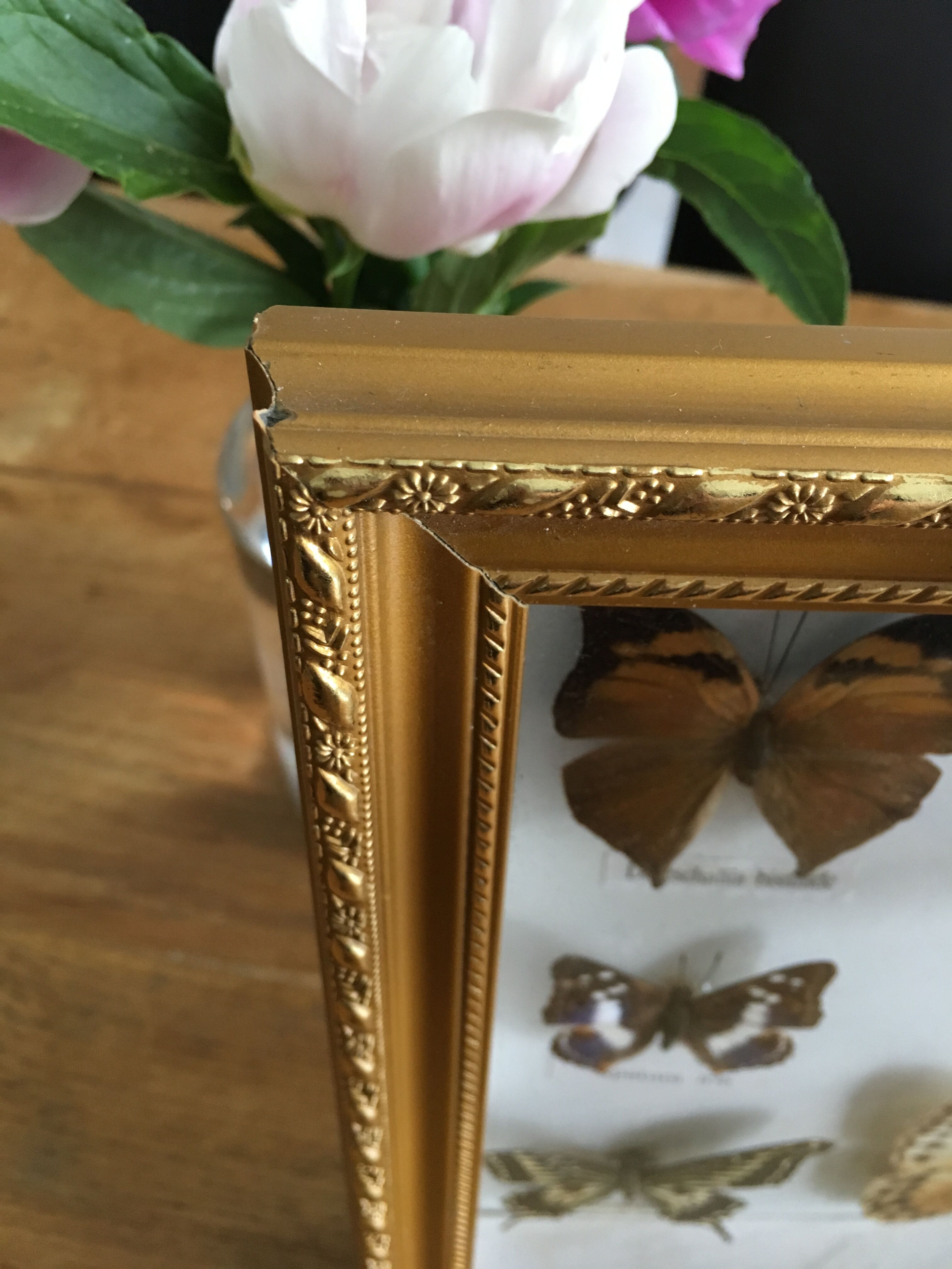 Frame mounted butterflies