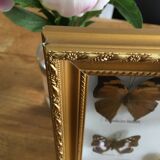 Frame mounted butterflies